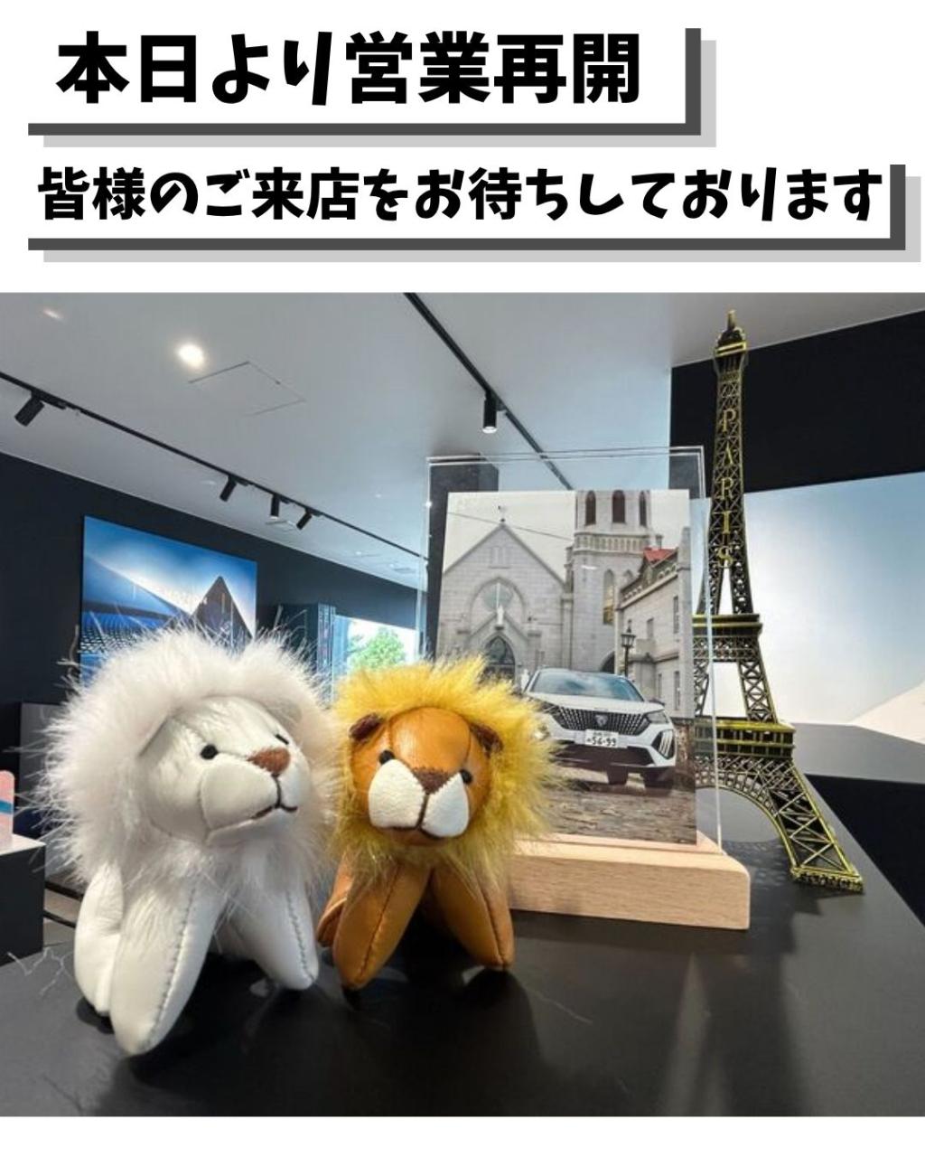 本日より、元気に営業再開！