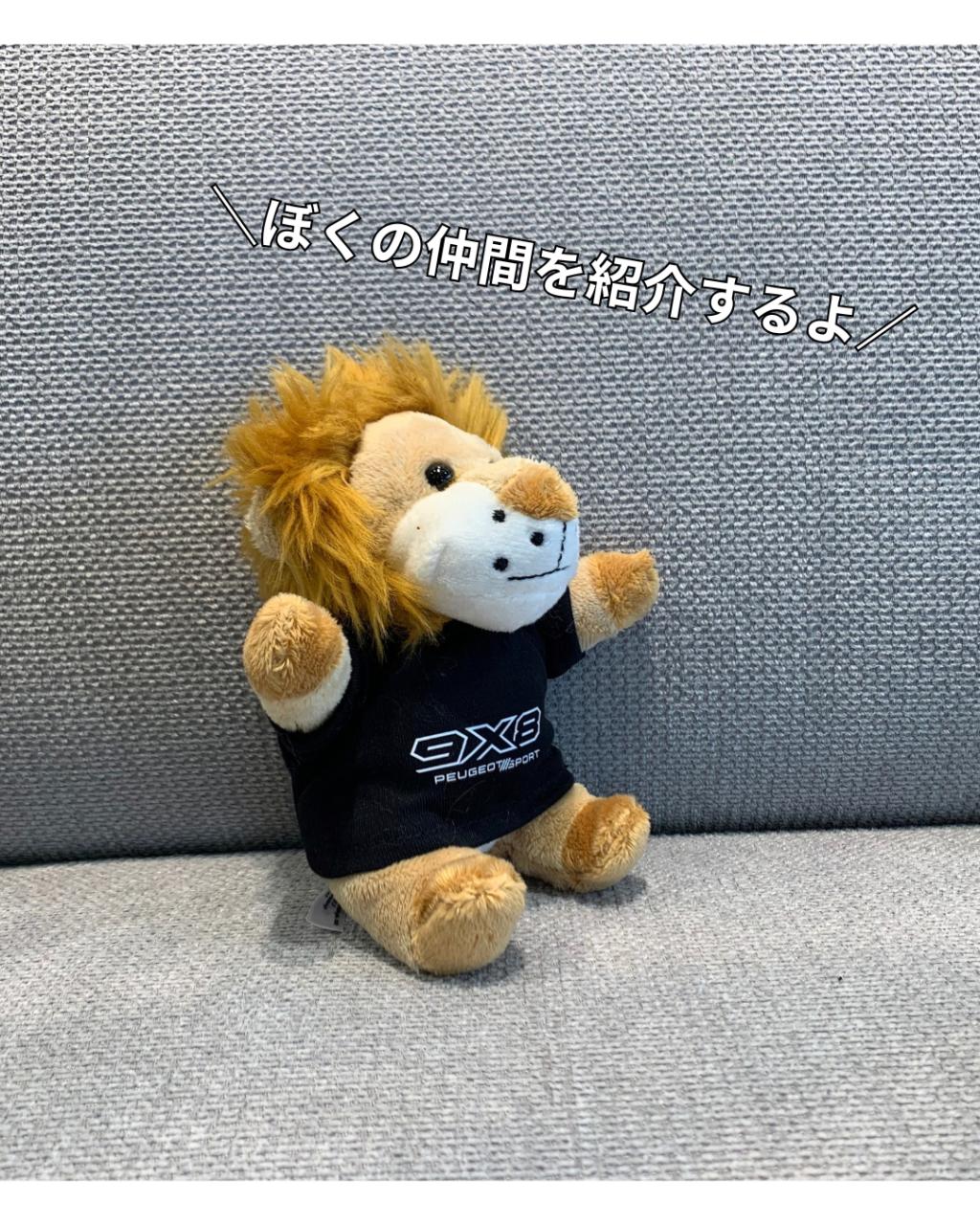 オリジナルグッズ入荷しましたー！